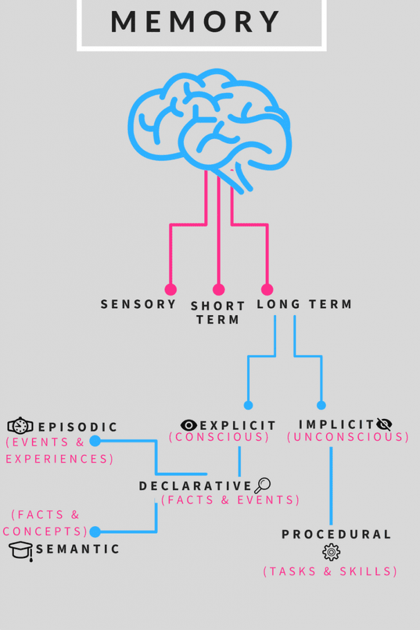 Diagram illustrating types of human memory: sensory, short-term, explicit, and implicit