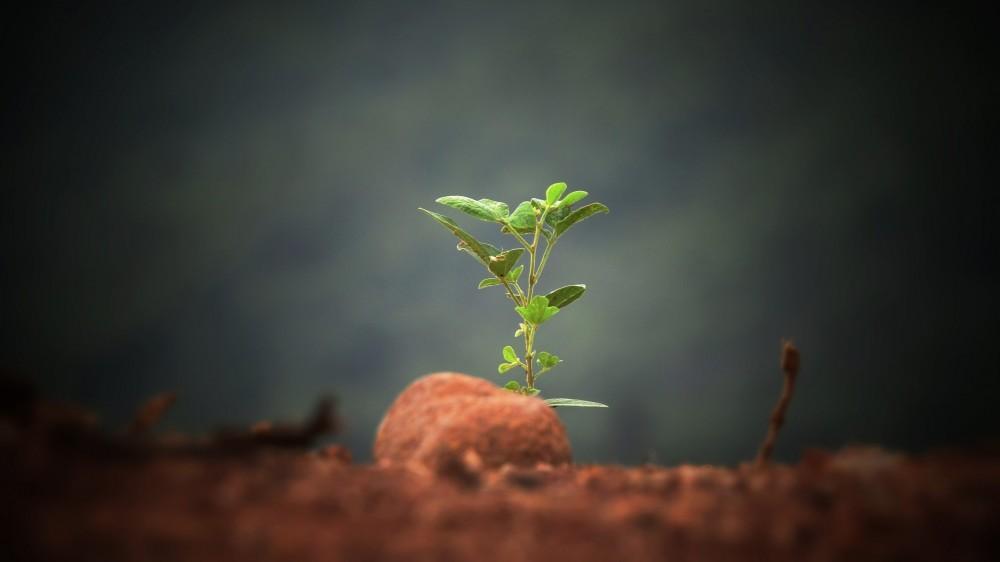 Ways to Help You Keep Hope Alive